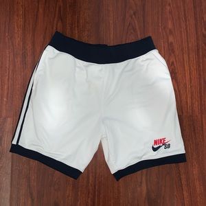 nike sb mesh shorts